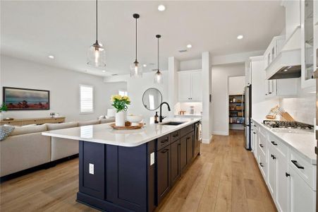 New construction Single-Family house 10037 Hammock Brook Dr, Parrish, FL 34219 - image 6