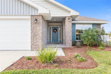 New construction Single-Family house 244 Bird Of Paradise Drive, Palm Coast, FL 32137 - photo 0