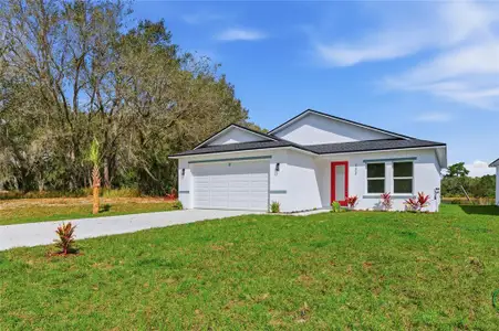 New construction Single-Family house 132 11Th Ave, Osteen, FL 32764 - image