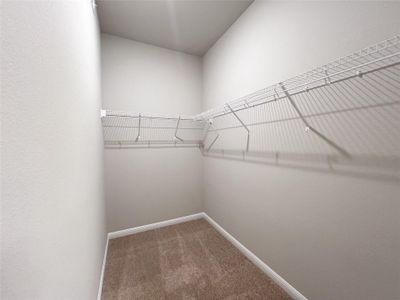 New construction Single-Family house 676 Ferrule Dr, Kyle, TX 78640 The Magnolia- photo 14 14