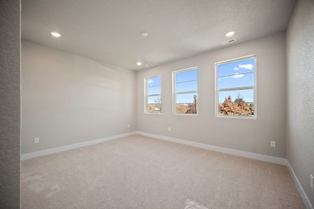 New construction Single-Family house 3077 Curly Grove, Colorado Springs, CO 80922 plan Primrose - image 18