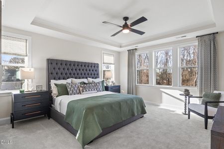 New construction Single-Family house 1231 Magpie Ln, Hillsborough, NC 27278 - image 12