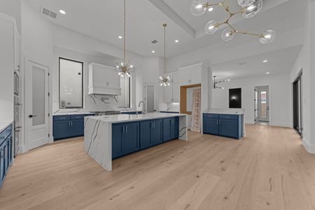New construction Single-Family house 12770 Charismatic Pkwy, Frisco, TX 75035 plan Grandview - image
