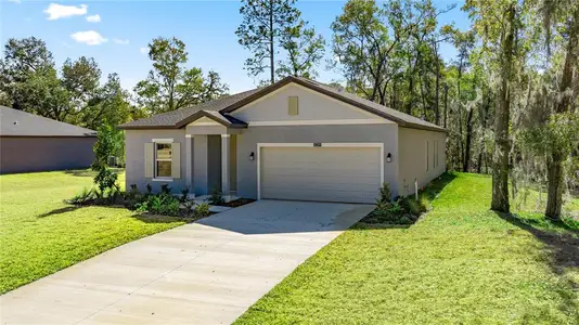 New construction Single-Family house 8363 Sw 197Th Ct, Dunnellon, FL 34432 plan Franklin - image