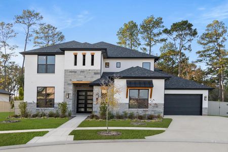 New construction Single-Family house 164 Shoveler Duck Wy, Magnolia, TX 77354 plan Lyndon - image