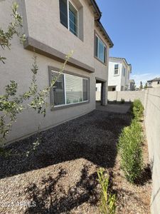 New construction Single-Family house 635 N Vine St, Chandler, AZ 85225 - image