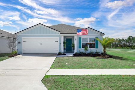 New construction Single-Family house 2 Springwood Dr, Palm Coast, FL 32137 - image