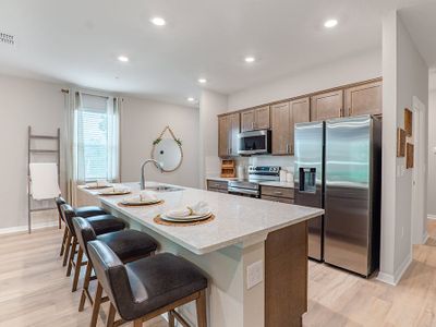 New construction Single-Family house 42 Sunset Haven Lp, St. Cloud, FL 34771 plan Birch - image