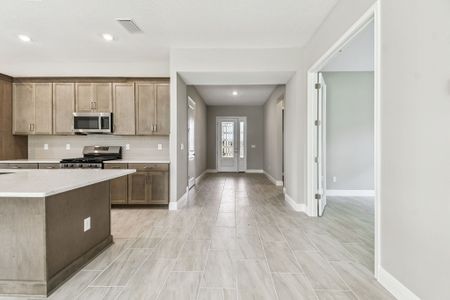 New construction Single-Family house 12505 White Blossom Ct, Parrish, FL 34219 plan Sapphire - image 16