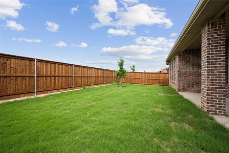 New construction Single-Family house 4032 Aldenwood Rd, Little Elm, TX 76227 Garnet- photo 27 27