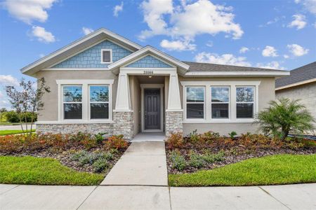 New construction Single-Family house 28866 Hillcrest Valley Blvd, Wesley Chapel, FL 33543 The Malone- photo 0
