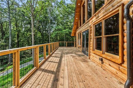New construction Single-Family house 1725 Cherokee Gold Trl, Ball Ground, GA 30107 - image