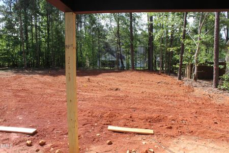 New construction Single-Family house 209 Sequoia Dr, Louisburg, NC 27549 - image 12