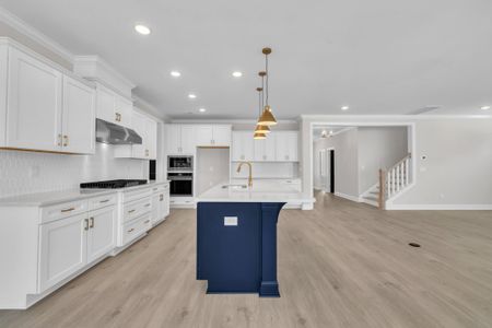 New construction Single-Family house 9101 Dupree Meadow Dr, Angier, NC 27501 plan The Hampton - image 17