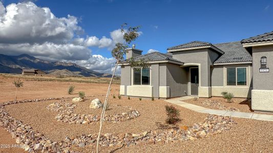 New construction Single-Family house 6934 E Vaquero Cir, Unit Lot 194, Hereford, AZ 85615 - image