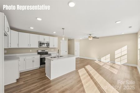 New construction Single-Family house 87 Coon Creek Rd, Pageland, SC 29728 - image 4