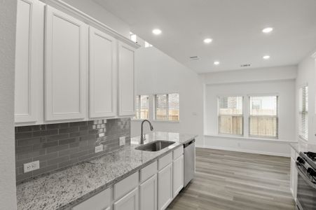 New construction Single-Family house 707 Stampede Rd, San Marcos, TX 78666 plan Beaumont - image 7