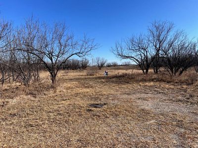 New construction Single-Family house 604 Nolan, Merkel, TX 79536 - image