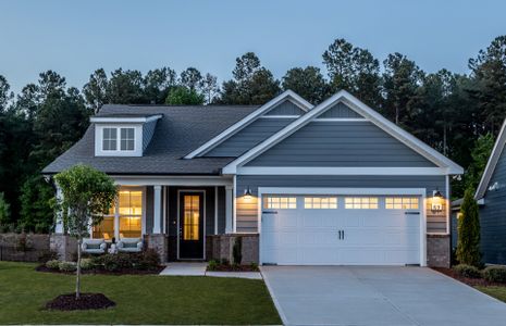 New construction Single-Family house 19 Dover Downs Dr, Clayton, NC 27520 null- photo 0