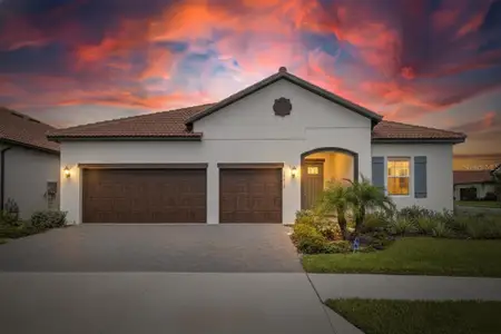 New construction Single-Family house 17415 Holly Well Ave, Wimauma, FL 33598 - image