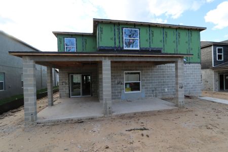 New construction Single-Family house 12168 Hilltop Farms Dr, Dade City, FL 33525 Malibu- photo 54 54