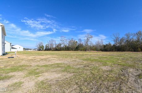 New construction Single-Family house 1615 Percheron Path, Fayetteville, NC 28312 - image 3