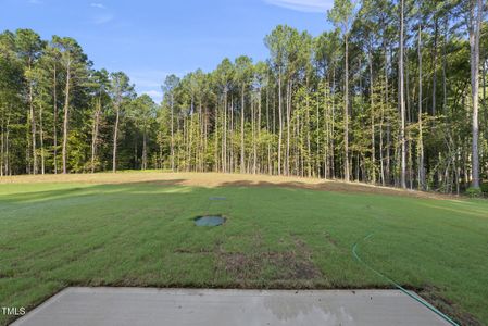 New construction Single-Family house 13525 Old Creedmoor Rd, Wake Forest, NC 27587 null- photo 30 30