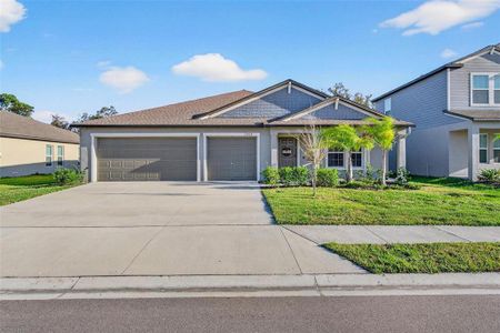 New construction Single-Family house 12028 Blue Diamond Trl, Parrish, FL 34219 - image