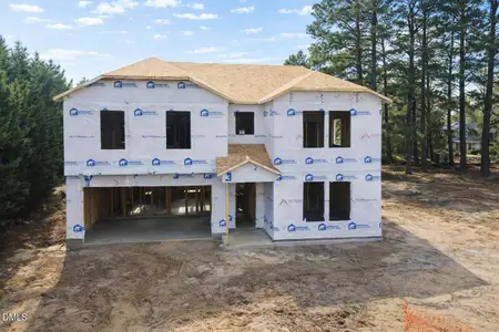 New construction Single-Family house 10696 Red Oak Blvd, Nashville, NC 27856 - image
