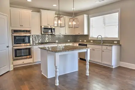 New construction Single-Family house 4215 Trinity Oaks Trl, Cumming, GA 30040 - image
