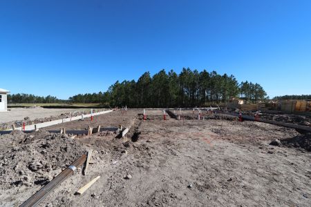 New construction Single-Family house 1878 Drummond Pt, Zephyrhills, FL 33541 Corina II Bonus- photo 6 6