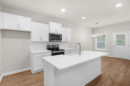 New construction Single-Family house 6220 Carlys Wy, Gainesville, GA 30506 - image 10