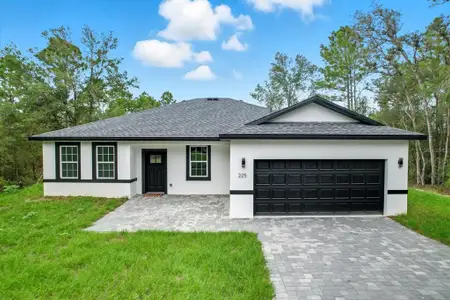New construction Single-Family house 225 W Diego Pl, Citrus Springs, FL 34434 - image