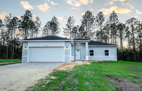 New construction Single-Family house 8969 Sheppard Drive, Lake Wales, FL 33898 - photo 0