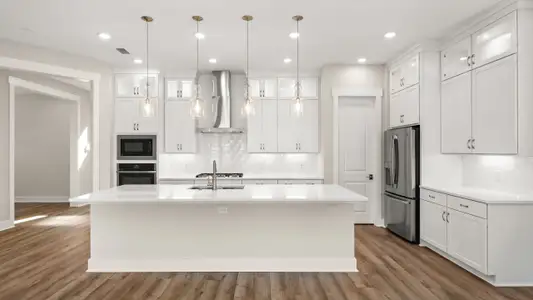 New construction Single-Family house 40 Dunns Circle Inlt, Inlet Beach, FL 32461 plan Orchid - image 6