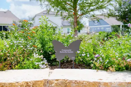 New construction Single-Family house 12367 Lost Petal, Schertz, TX 78154 plan The Paddington - image 13