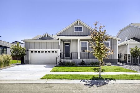 New construction Single-Family house 2071 Dusk Ct, Windsor, CO 80550 plan C502 - image