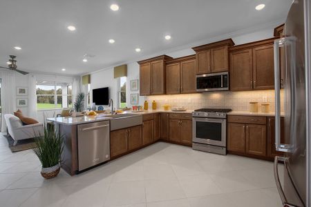 New construction Single-Family house 8447 Sw 99Th Street Rd, Ocala, FL 34481 plan Weybourne Landing - Orchid - image 8