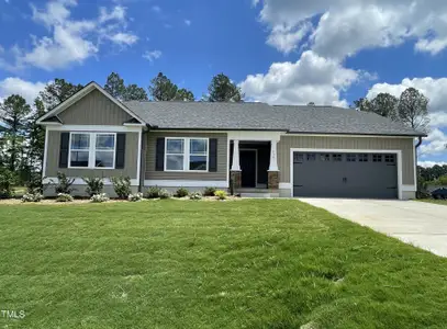 New construction Single-Family house 138 Sourgum Ct, Zebulon, NC 27597 - image