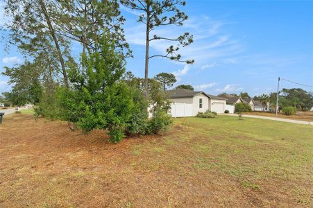 New construction Single-Family house 11209 Roman Street, Spring Hill, FL 34609 - photo 29 29