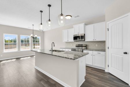 New construction Single-Family house Ludowici, GA 31316 plan The Jackson - image 6