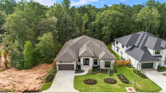New construction Single-Family house 209 Lilac Tree Ct, Willis, TX 77318 - image