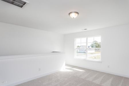 New construction Single-Family house 18 Cedar Run Ct, Benson, NC 27504 plan Ellerbe - image 16