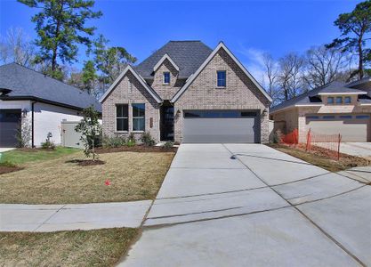 New construction Single-Family house 14714 Band Tailed Pigeon Ct, Magnolia, TX 77354 2180P- photo 11 11