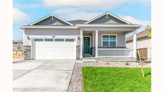 New construction Single-Family house 7595 E 159Th Pl, Thornton, CO 80602 HARMONY- photo 3 3