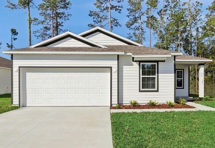 New construction Single-Family house 31 Whittingham Ln, Palm Coast, FL 32164 plan The Ashton - image