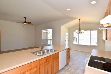 New construction Single-Family house 437 Vivid Ln, Windsor, CO 80550 null- photo 16 16