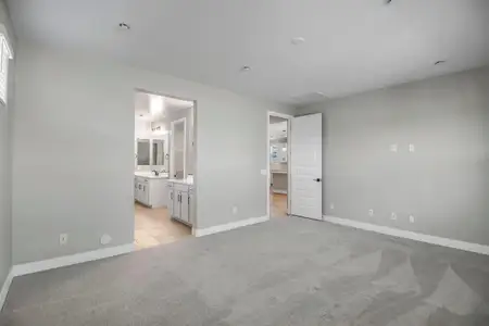 New construction Single-Family house 890 W Macaw Dr, Queen Creek, AZ 85140 plan Citrine - image 20