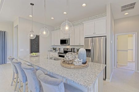 The Willows Single-Family Homes by Medallion Home in Parrish - photo 15 15