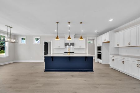 New construction Single-Family house 9101 Dupree Meadow Dr, Angier, NC 27501 plan The Hampton - image 15